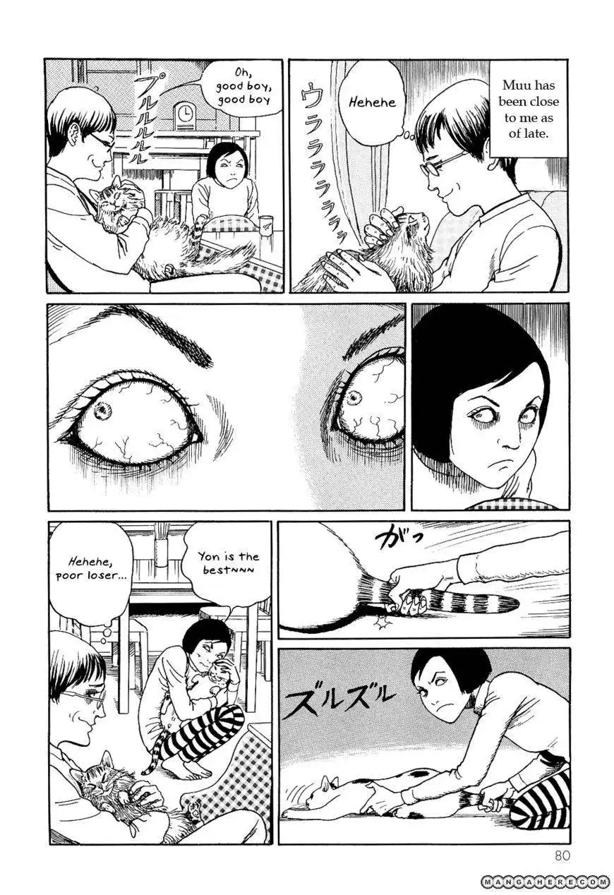 Ito Junji's Cat Diary Chapter 8 2